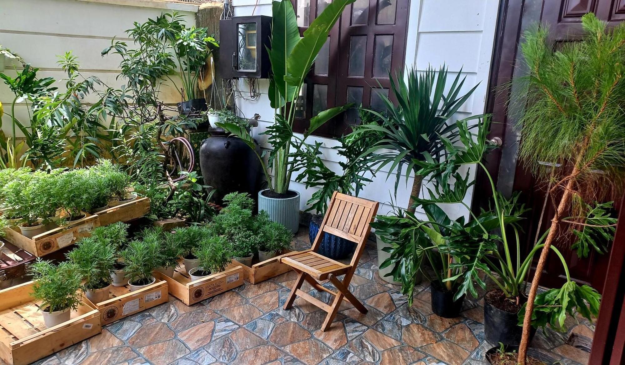 Wasabi House - Homestay Ben Cho Dalat Exteriör bild