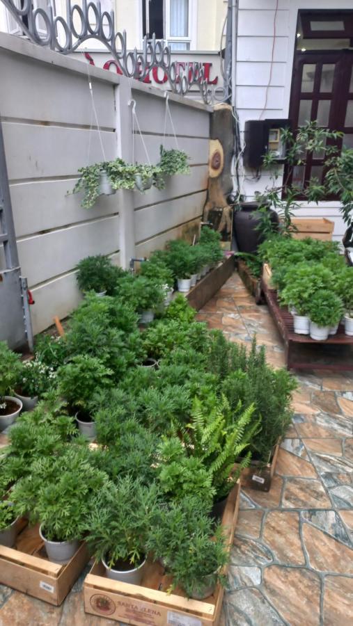 Wasabi House - Homestay Ben Cho Dalat Exteriör bild