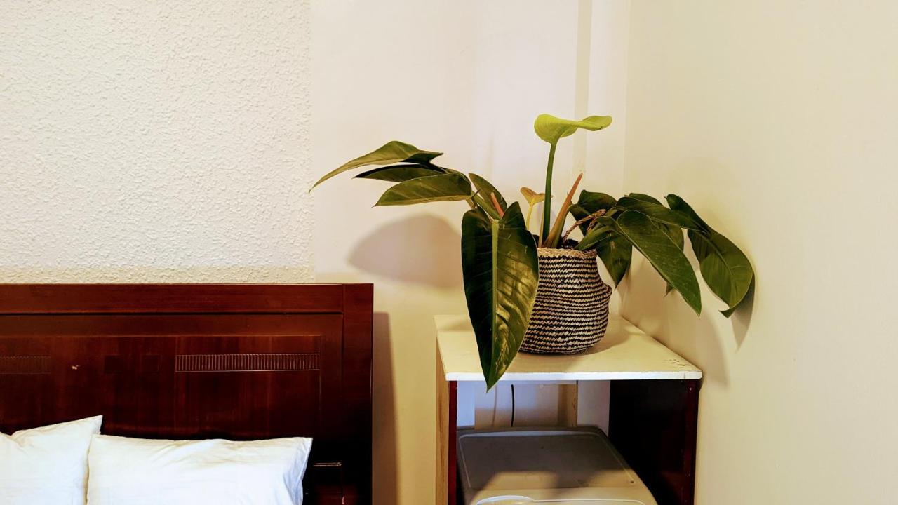 Wasabi House - Homestay Ben Cho Dalat Exteriör bild